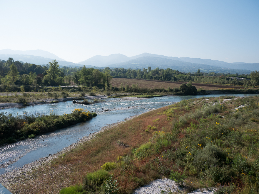 Kurven und Serpentinen durch den Wald